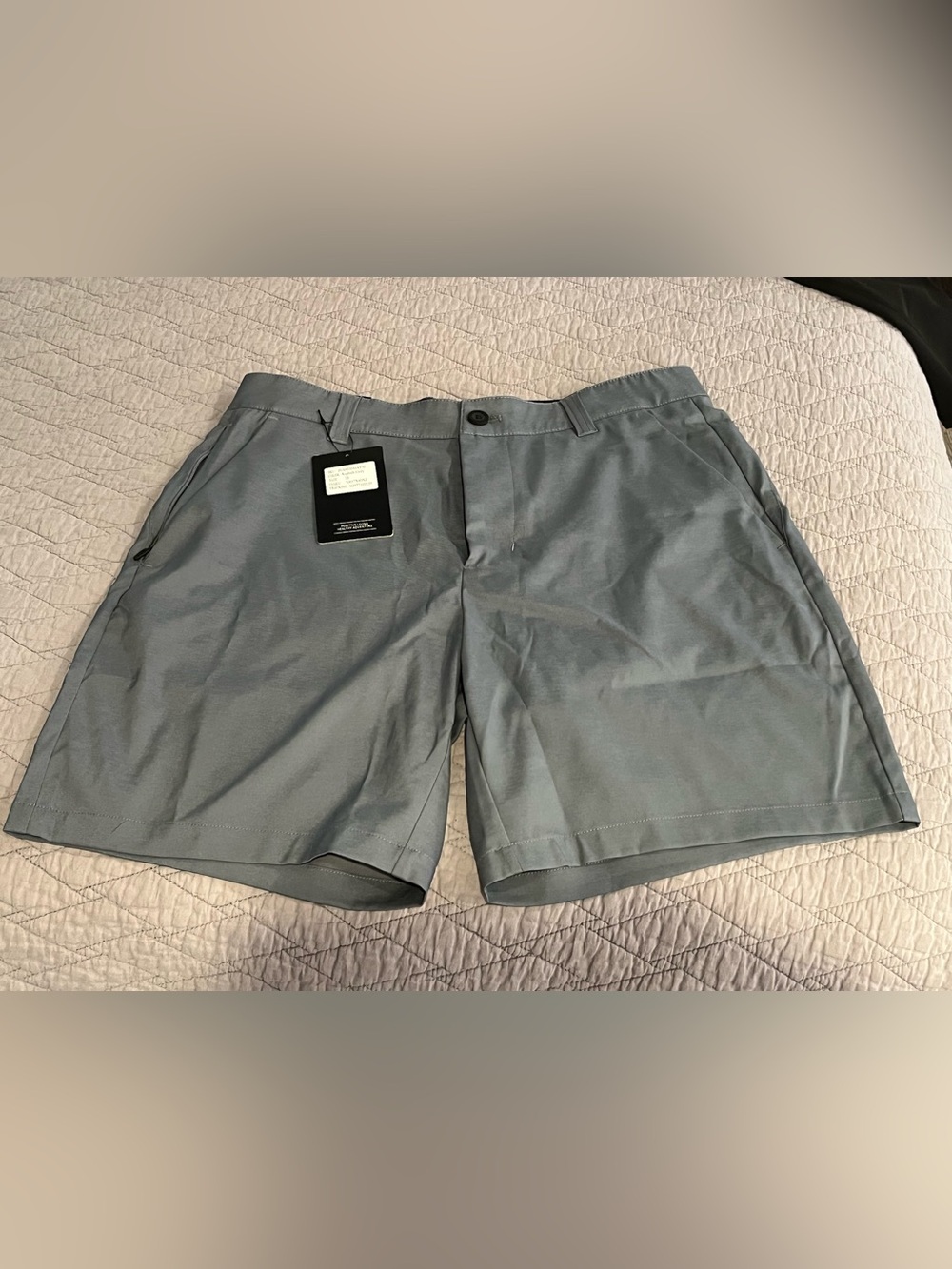 Puli  Men's Flat Front Shorts in Light Gray
